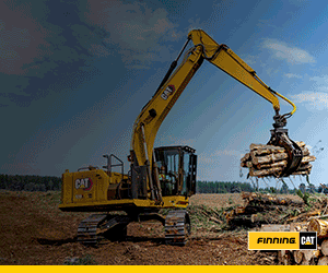 Finning