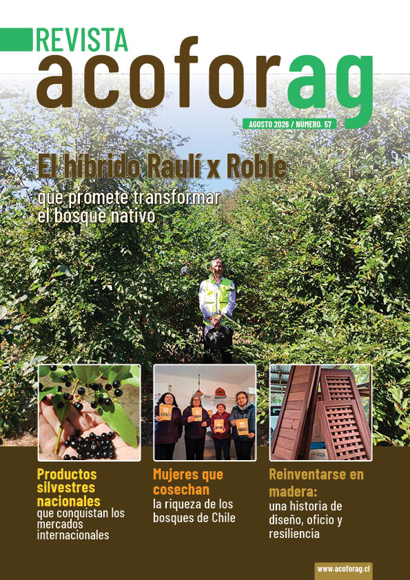 Revista 57 agosto 2026