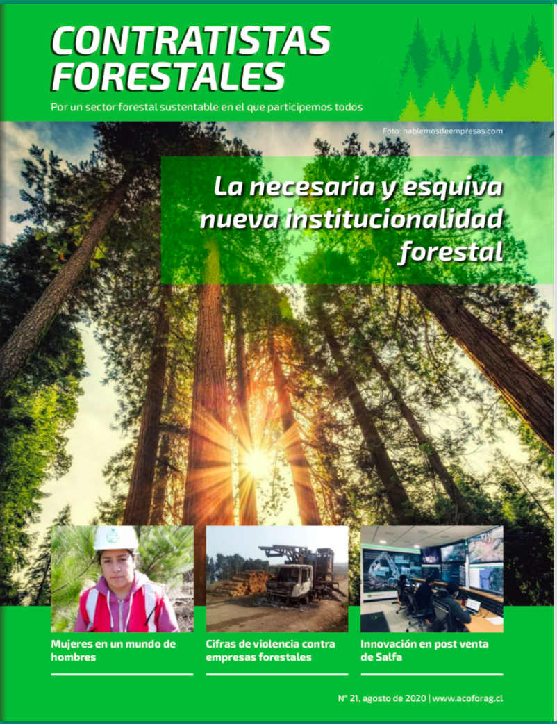 Número 21, Agosto 2020