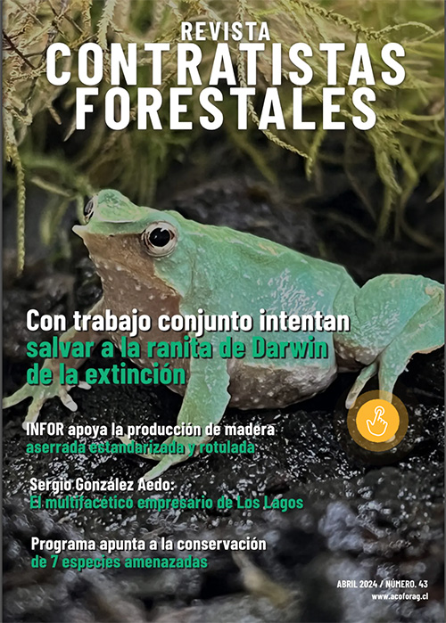 Número 43, Abril 2024