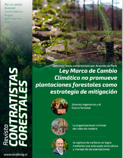 Número 34, Octubre 2022