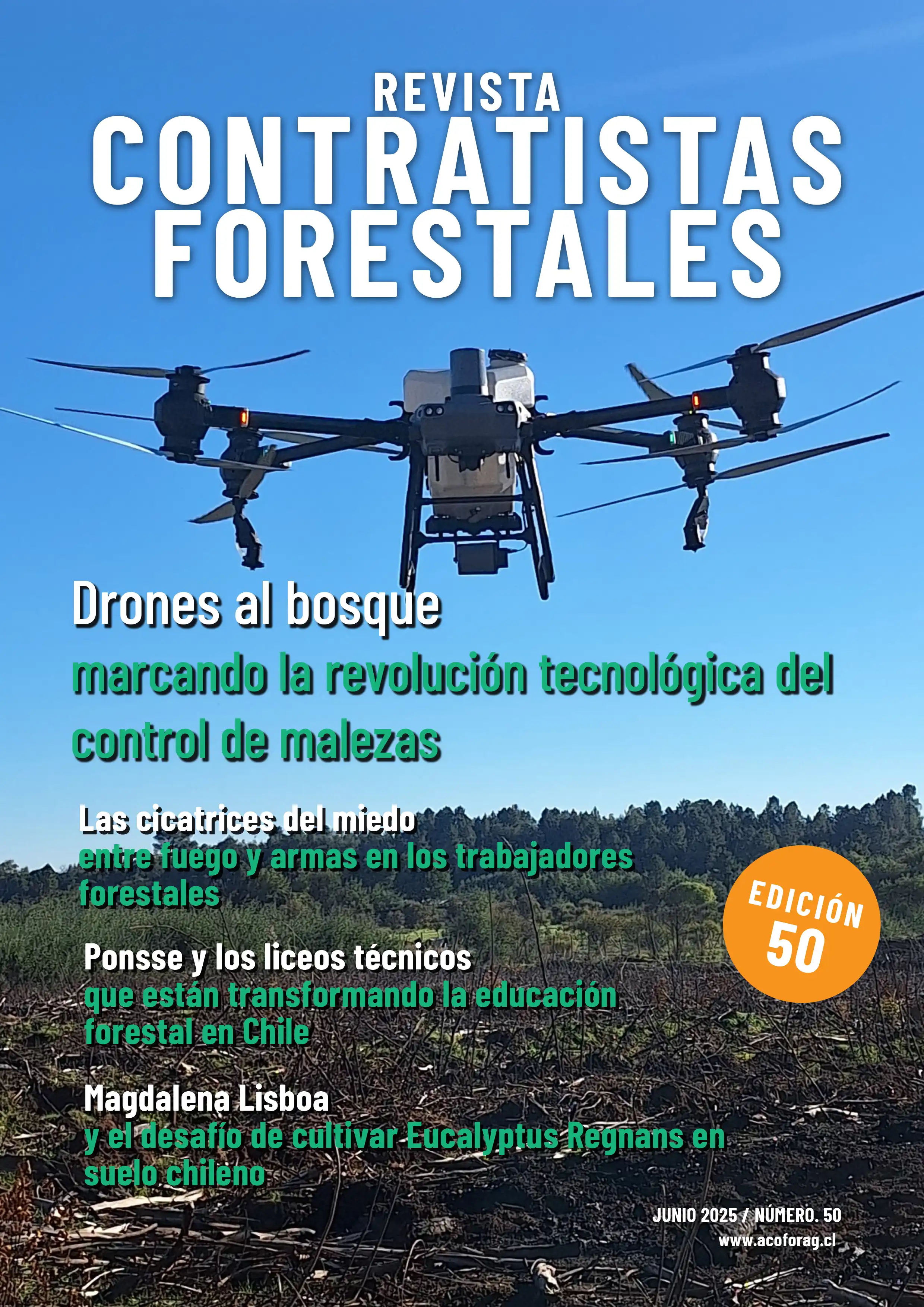 Número 50, Junio 2025