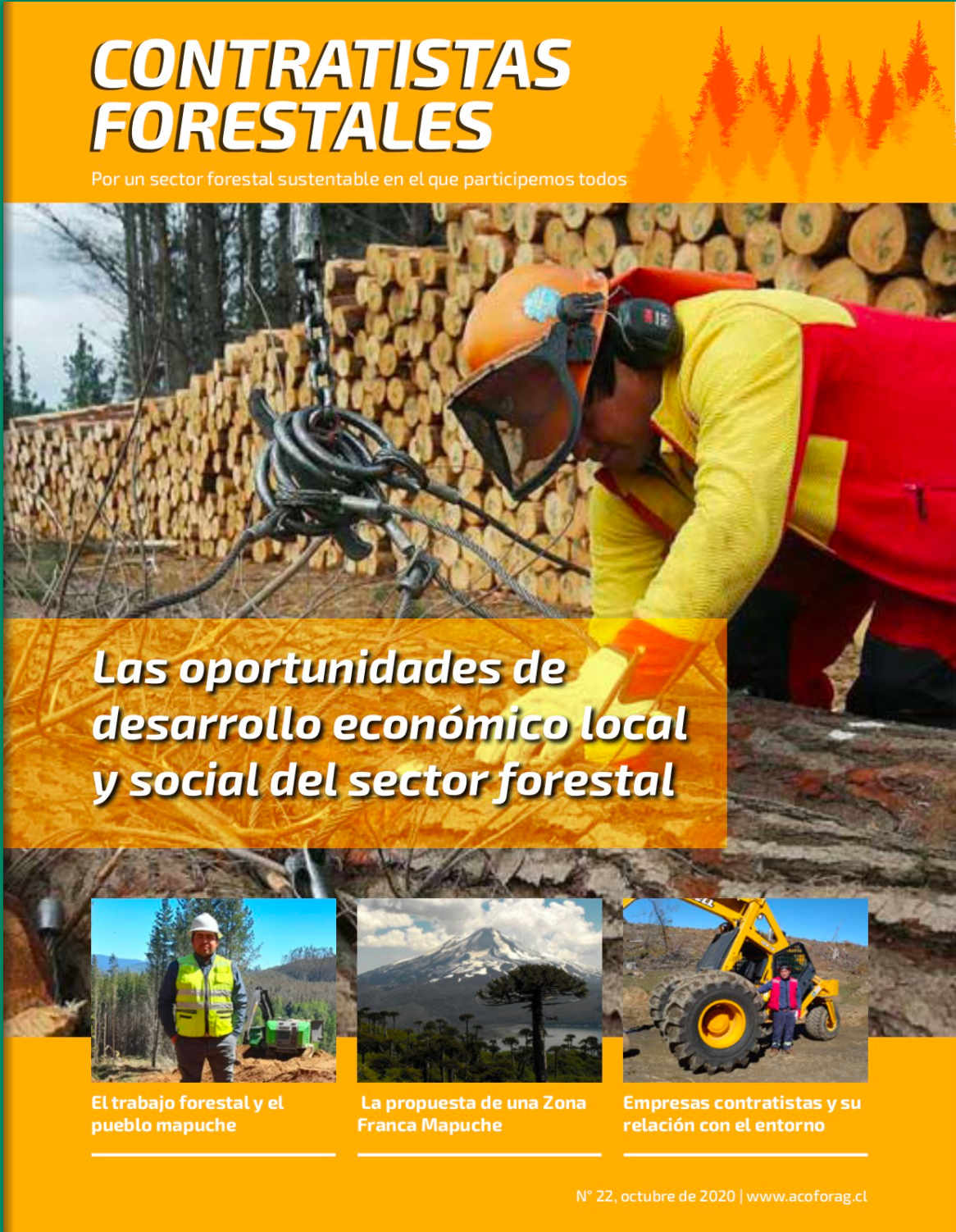 Número 22, Octubre 2020