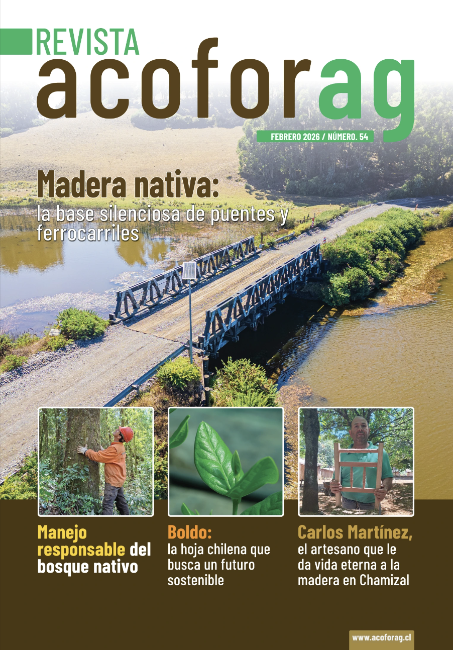 Revista 54, Febrero 2026