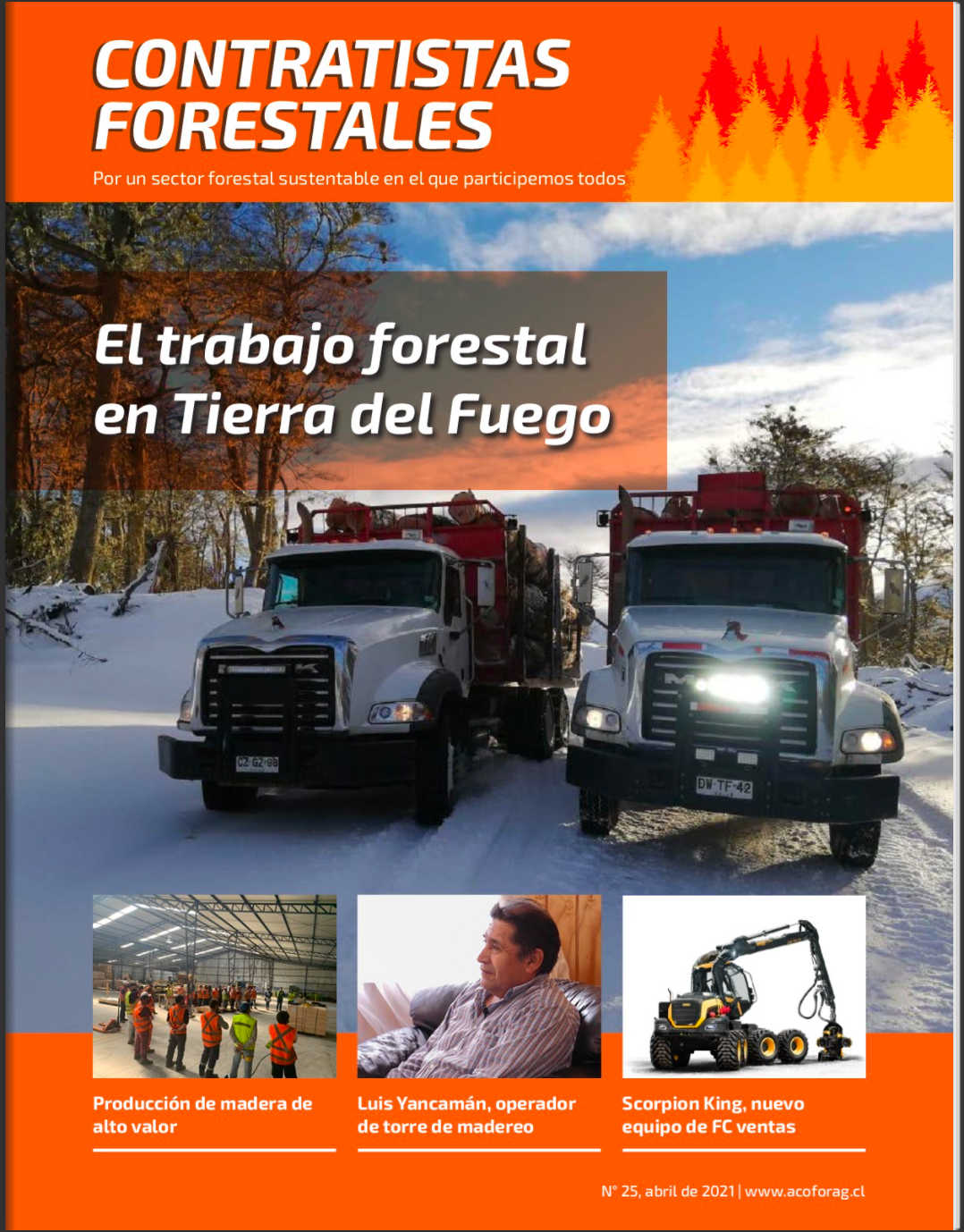 Número 25, Abril 2021