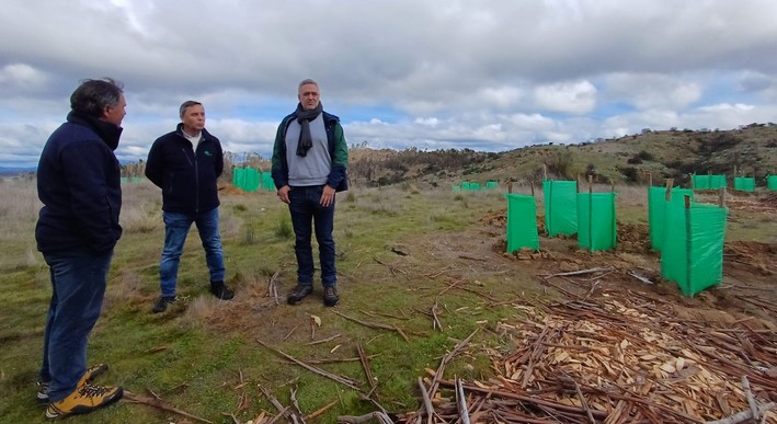 Conaf Drives Native Forest Recovery in O'Higgins