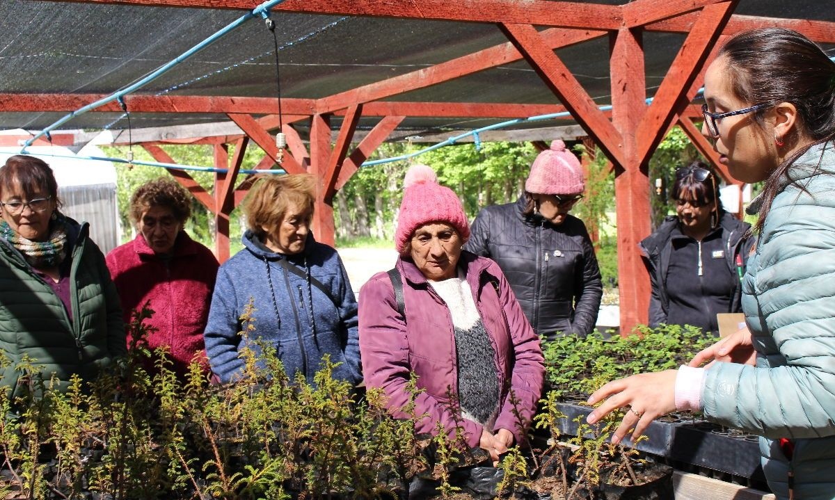 Cochrane Dresses in Green: 230 Native Trees Beautify the City
