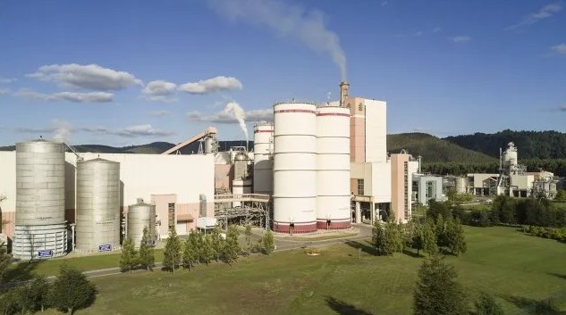 Forestal Arauco Commissions Renewable Energy Plant in Misiones, Argentina