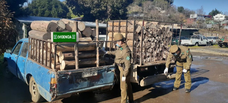 Contratistas forestales esperan mejoras en las condiciones laborales por nueva legislación nacional