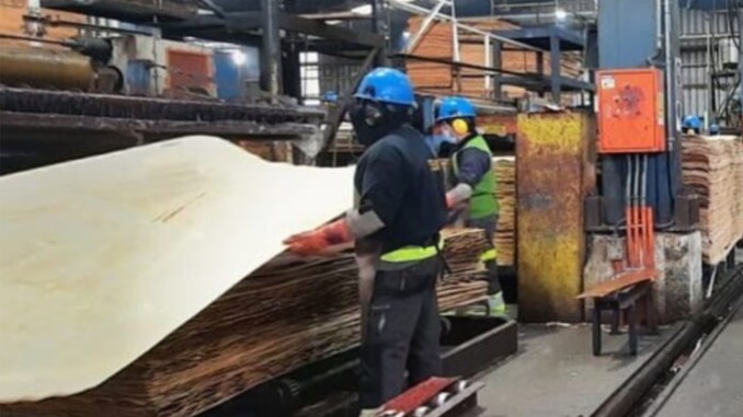 Forestal León Leaves Coelemu After Dispute with Municipality Over License Renewal: Relocates to Quirihue