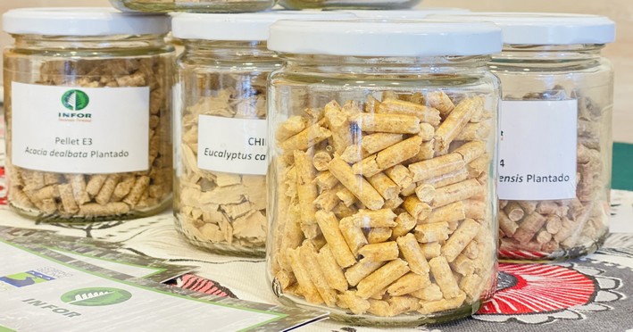 Platform to be implemented to reduce shortage risk in the pellet market in Biobío