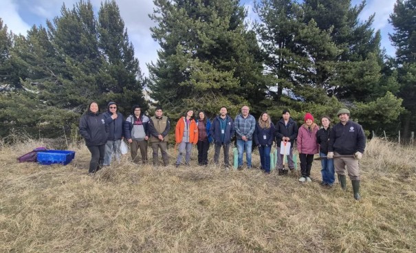 Universidad de Aysén begins native restoration with planting of 200 ñirre trees at Río Coyhaique Campus