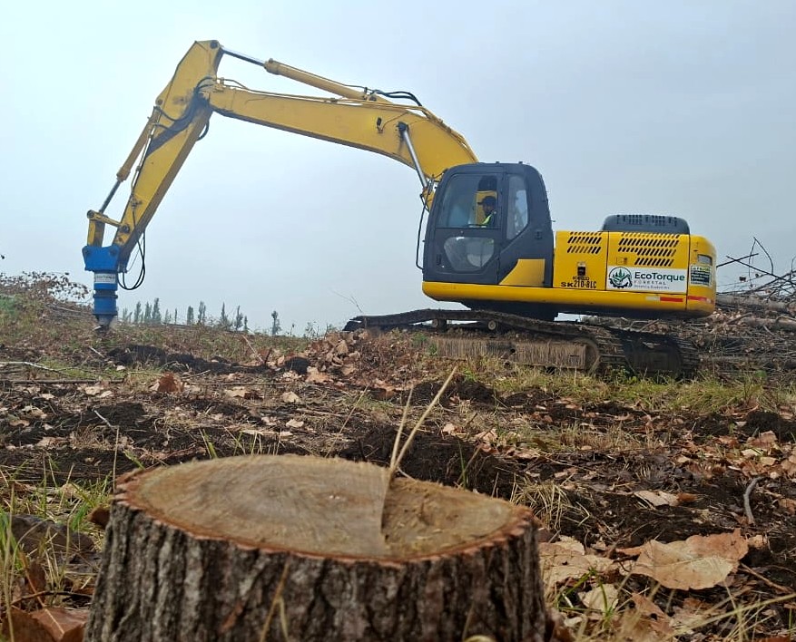 EcoTorque Forestal: innovación mecanizada que mejora el suelo