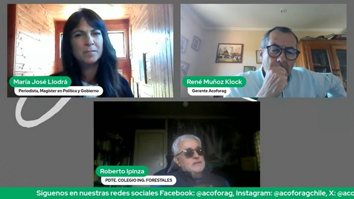 "Native Forests Could Be Thriving If We Had Followed the Model of Decree Law 701"