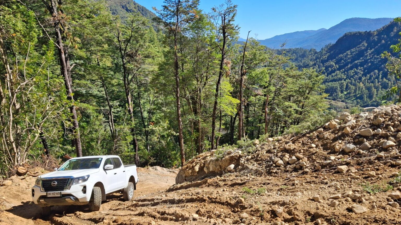Conaf detiene faenas por intervención ilegal de bosque nativo en Curarrehue