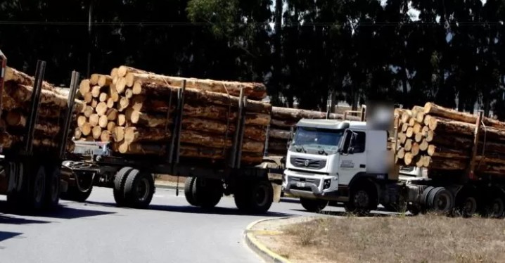 Sindicato de motoristas florestais diz que havia melhor coordenação de segurança no governo anterior