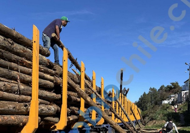Indivíduos sabotaram sistema de freios de trens em Lota: Acoforag condena ataque e roubo de madeira