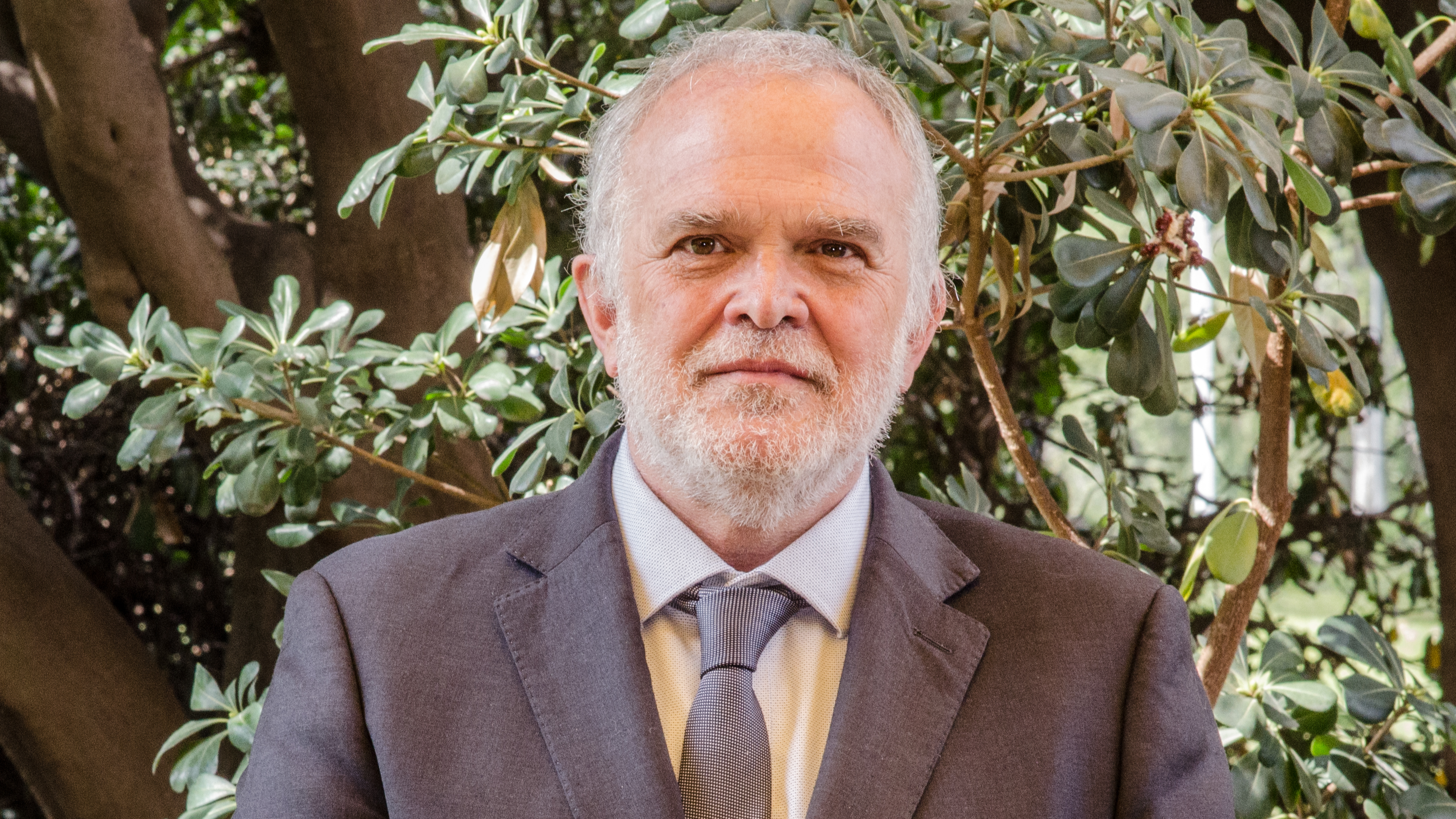 PEFC Zero Deforestation Certification: A Competitive Advantage