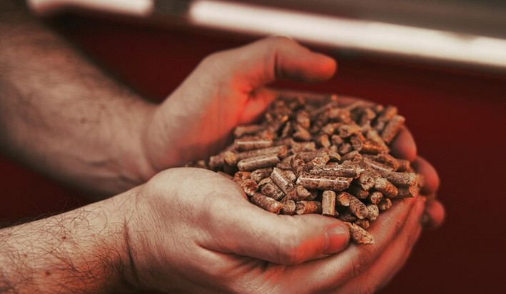 Pellet sales increased by 8% compared to last year in the Los Ríos region