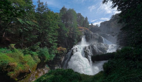 National Forest Service: The New Institution That Will Regulate Forest Sustainability and Succeed Conaf