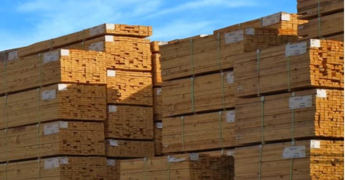 Chilean Forestry Trade Closes 2024 with Increase in Exports and Recovery in Imports
