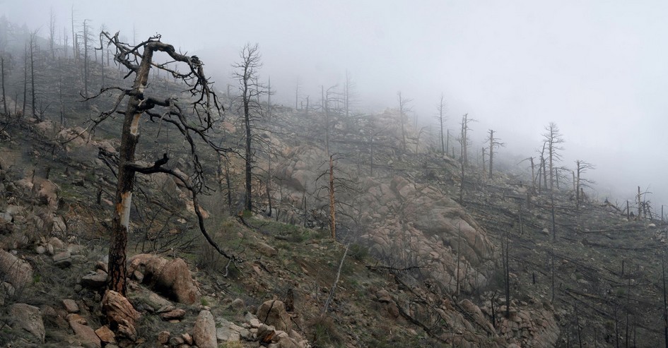 Drones, Sensors, and Satellites: The Fight Against Wildfires in the Digital Era