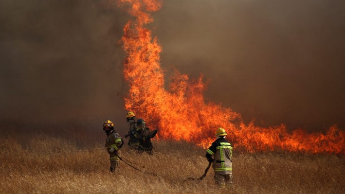 Burning of grasslands banned in O'Higgins and other regions to prevent forest fires