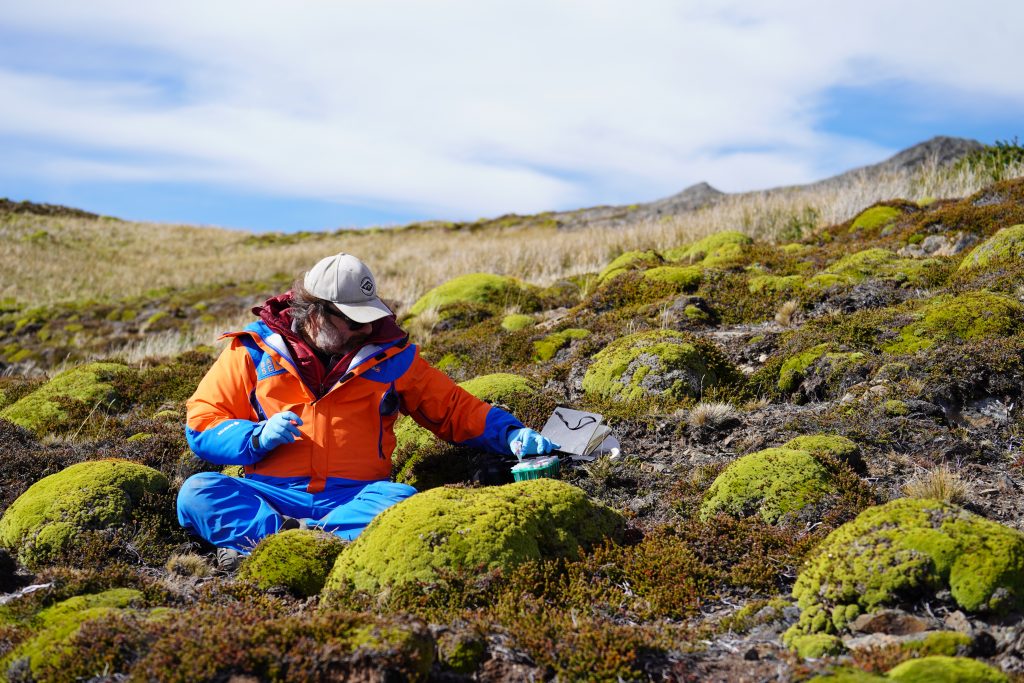 Scientists Analyze the Response of Sub-Antarctic Flora to Climate Change