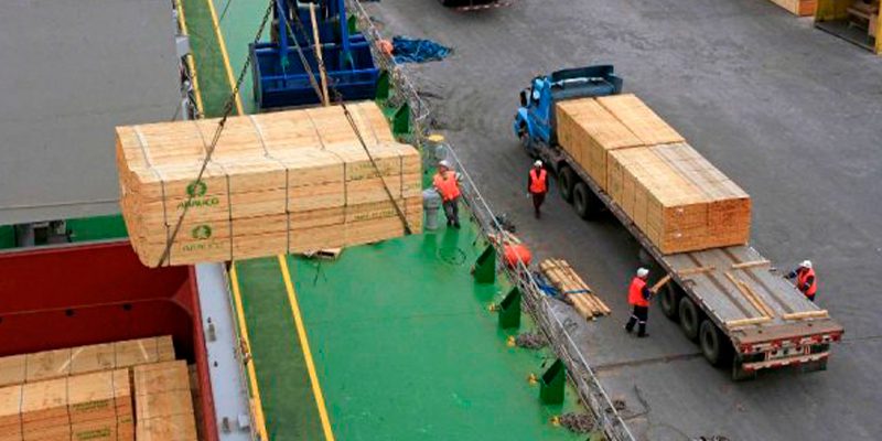 Exportaciones forestales del Biobío caen 32,7% en noviembre y marcan fuerte retroceso anual