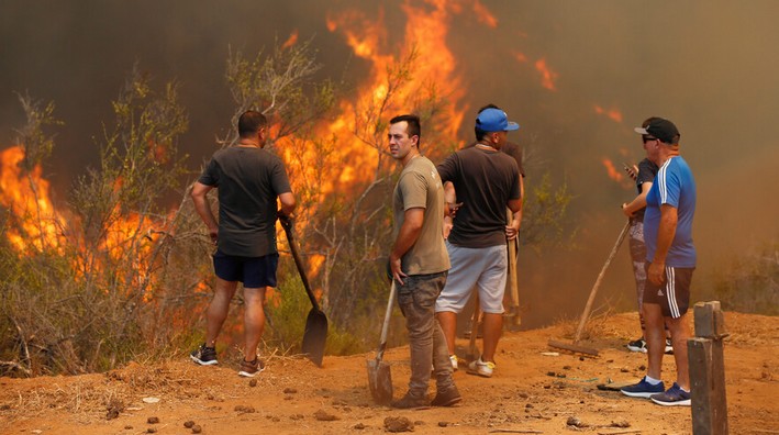 Futuro Madera Asserts That Chile Needs a Comprehensive Fire Law