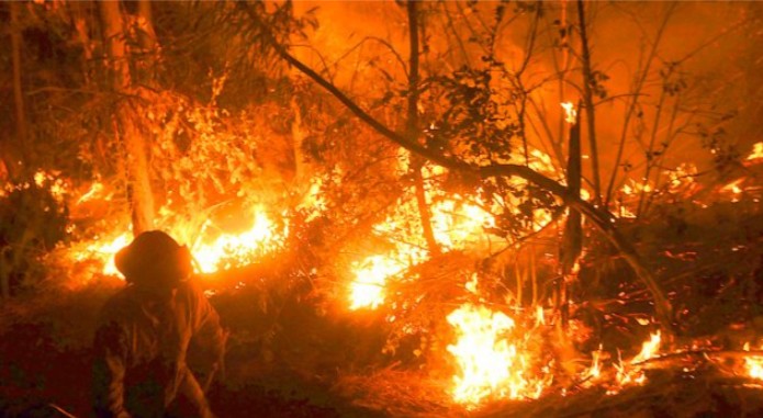 US$400 Million for Reconstruction After Forest Fires in the Biobío Region