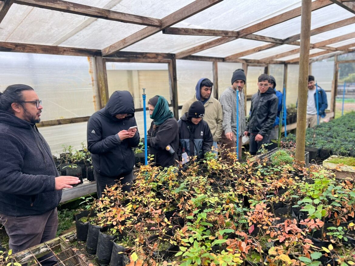 Forestry Engineering Students Learn about Plant Production and Quality at the Huillilemu Nursery