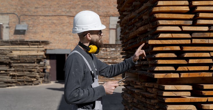 Biobío's Forestry Exports Plummet: A 29.1% Drop