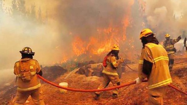 Forest fire in Coihueco exceeds 900 hectares