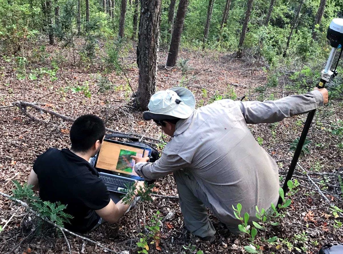 Satélites revelan que solo tres bosques permanecen intactos en la costa del Maule