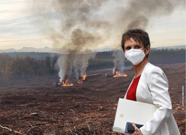 Gremio forestal pide a ministra Tohá que se reúna con las víctimas