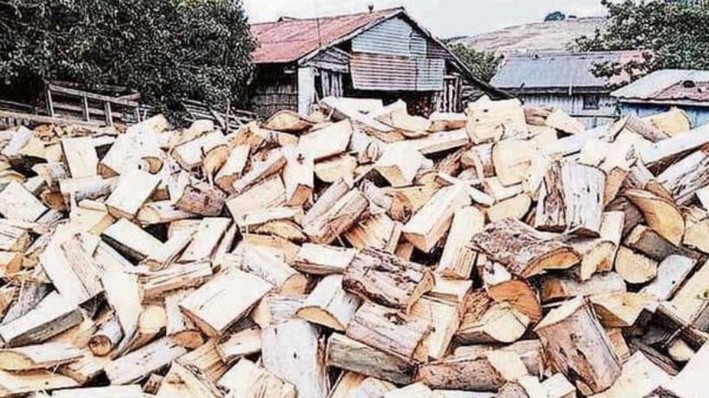40% Drop in Certified Firewood Sales Warned in Ñuble