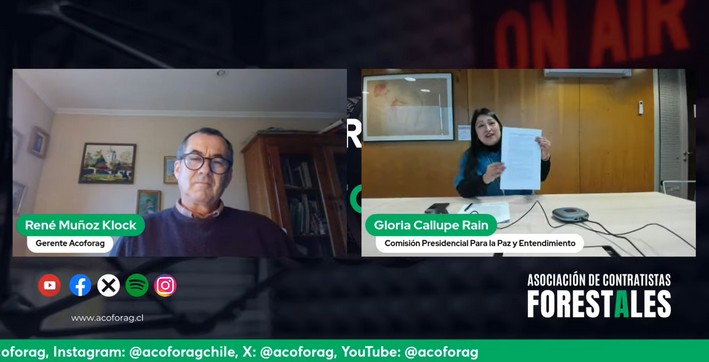 Commission for Peace and Understanding Advances in Resolving Historical Conflicts