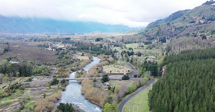 Chile Leads in Forest Certification Ahead of New European Zero-Deforestation Regulation