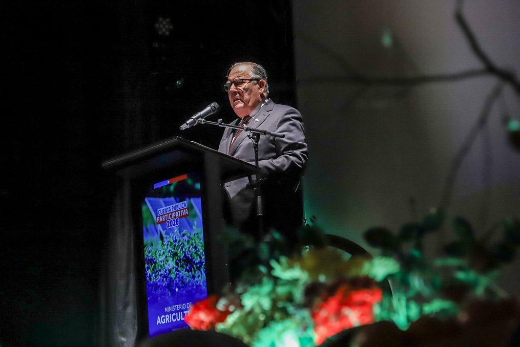 Campos bets on reactivating forest development: "We must increase Chile's forest area"