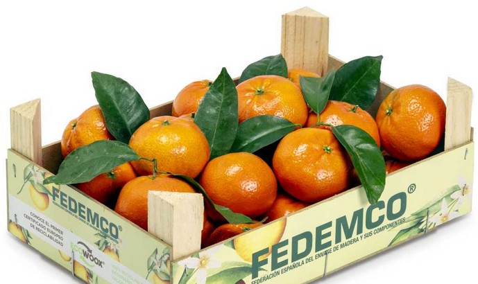 Study certifies that wooden packaging is the most sustainable