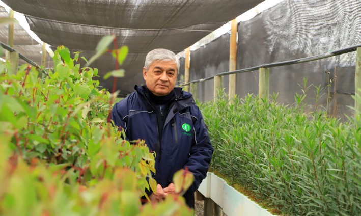 El Teniente's Forest Commitment: Rescue, Reproduce, and Reforest