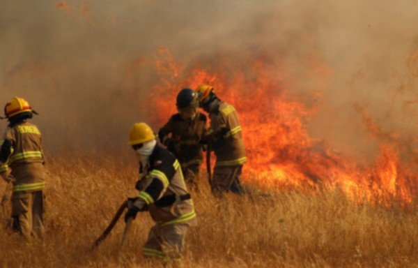 Trial Begins for Fire at Fundo Yani of Forestal Arauco: Accused Faces 15 Years in Prison
