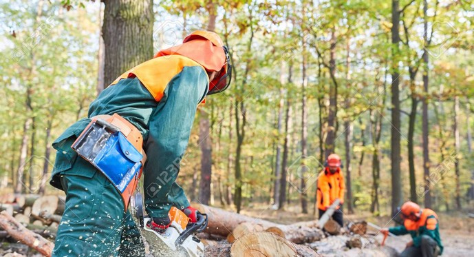 Forestry Company Los Notros Suffers Another Attack