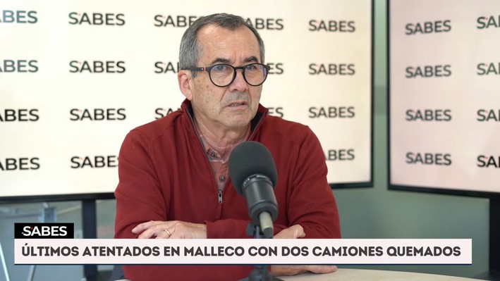 Manager of Acoforag and the Harsh Forest Reality: "Violence Has Become Normalized in the Southern Macrozone"