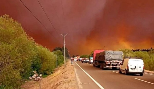 Esteban Krause Explains Challenge at Conaf and Clarifies That Appointment Was Not Due to "Having a Reserved Position"