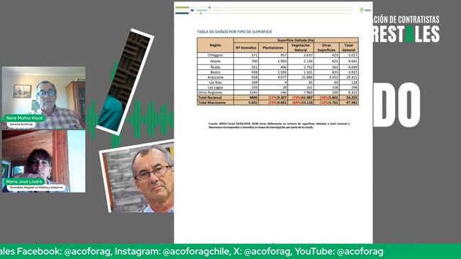 Wildfires in Chile devastate 56,000 hectares, primarily natural vegetation