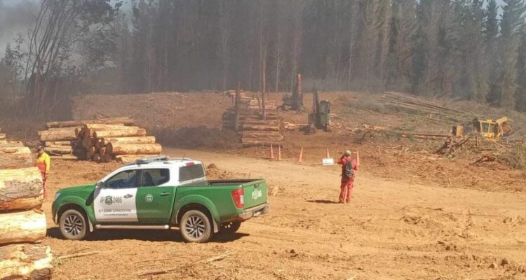 Acoforag Regrets That Persistent Violence Against Contractors and Their Workers Has Been NORMALIZED