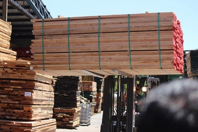 Forestry exports close 2024 with growth nearing 15%