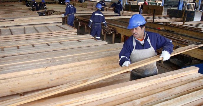 36,000 Forestry Jobs Lost in 10 Years in Biobío Reported